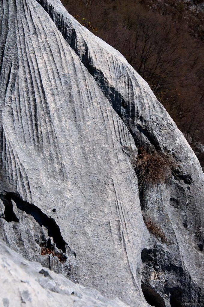 Monte Pizzoccolo dalla Cresta Sud: erosioni nella roccia